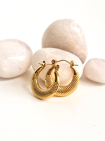 Golden Mesh Hoops