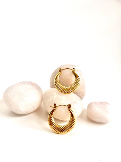 Golden Mesh Hoops