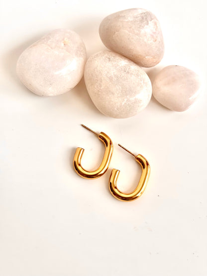 Bold Link Hoops